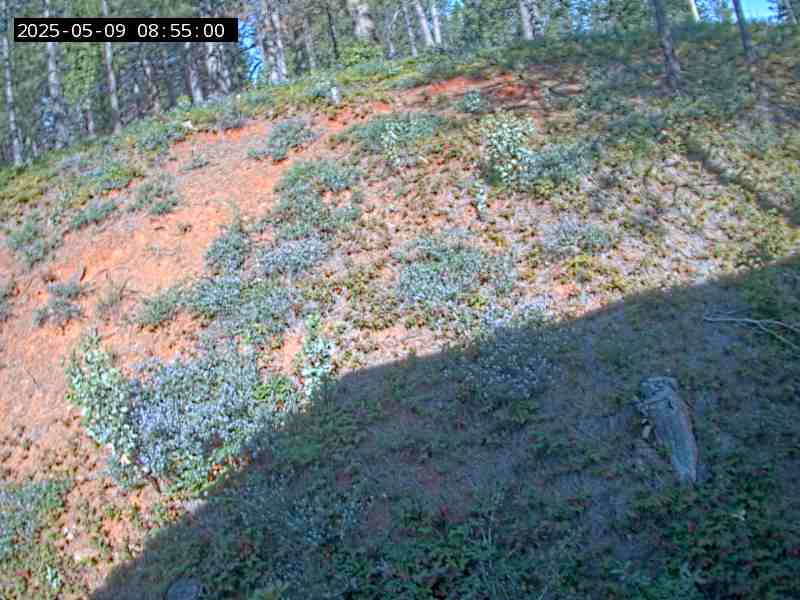 Loading new snow cam photo.  Wait 10-15 seconds to refresh again.